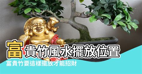 風水水缸|風水大師揭秘：水缸擺放3大禁忌